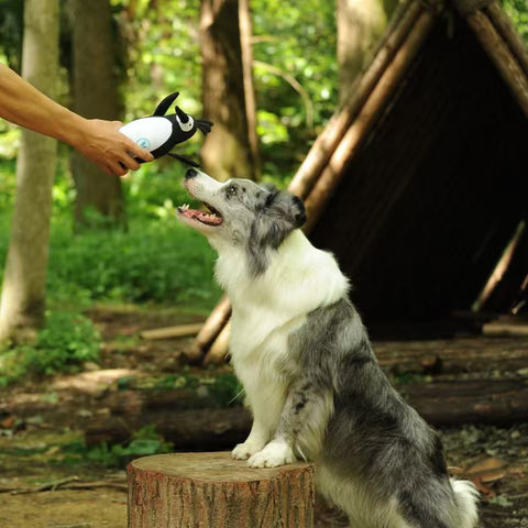We Are Friends - Dog  rpet toys