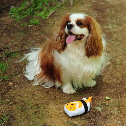 Nigiri Zushi -  Dog rpet toys