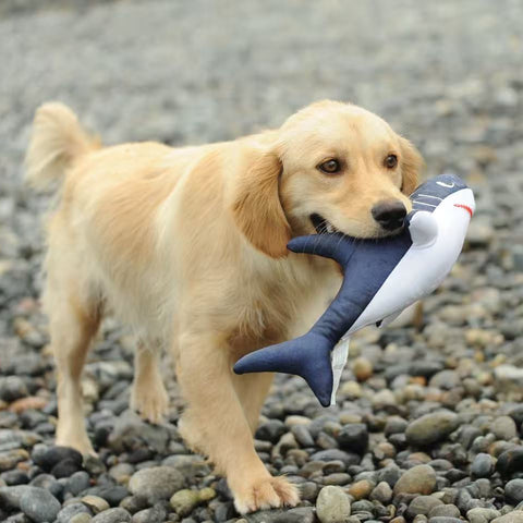 Save Our Sea - Shark - Dog rpet toys