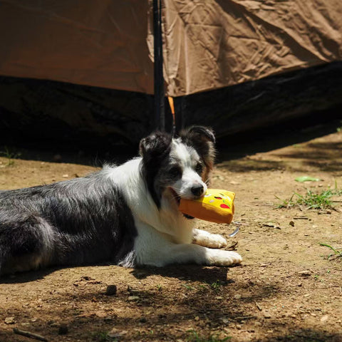 I Love Fast Food  - Dog rpet toys