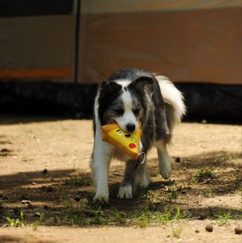 I Love Fast Food  - Dog rpet toys