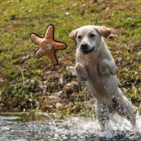 Wave Warriors - Dog rough & tough toys