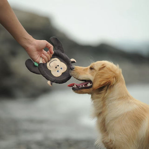 The Very Best Frisbee  - Dog rpet toys