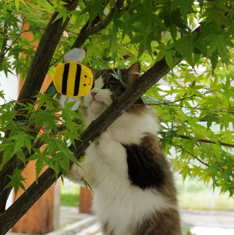 Insect Catnip Toys