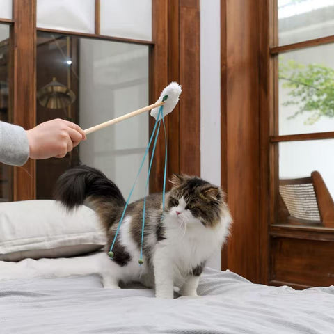 Simulated Sound Weather Wand Toys