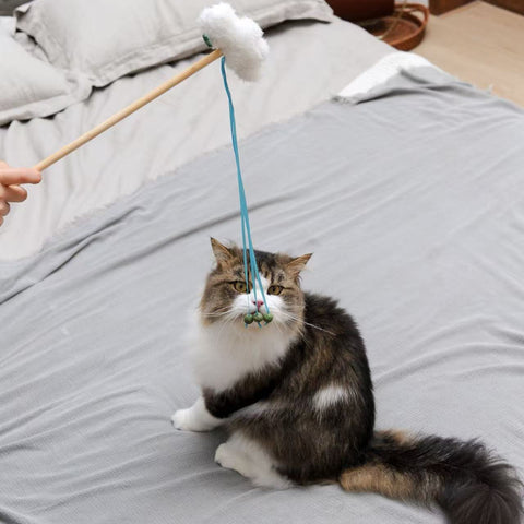 Simulated Sound Weather Wand Toys