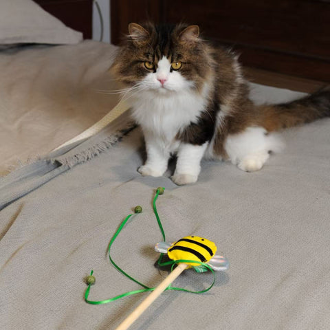 RPET Cat Wands
