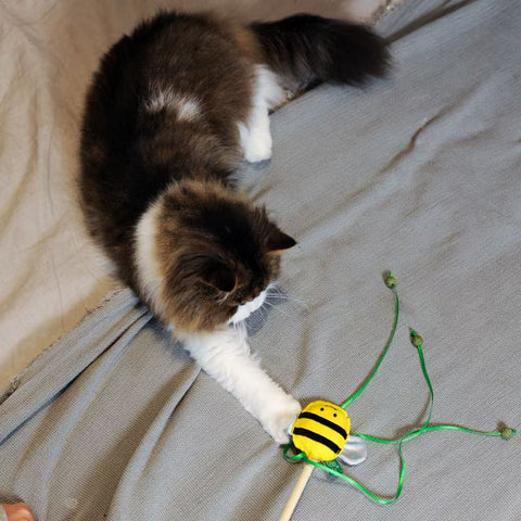 RPET Cat Wands