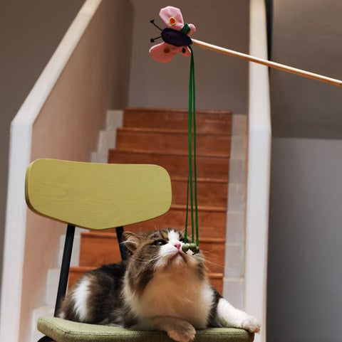RPET Cat Wands