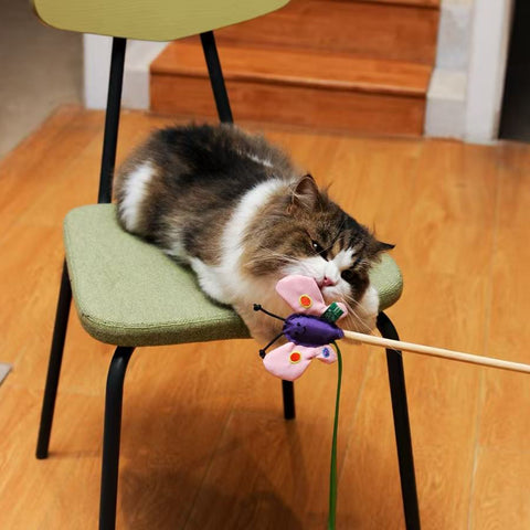 RPET Cat Wands
