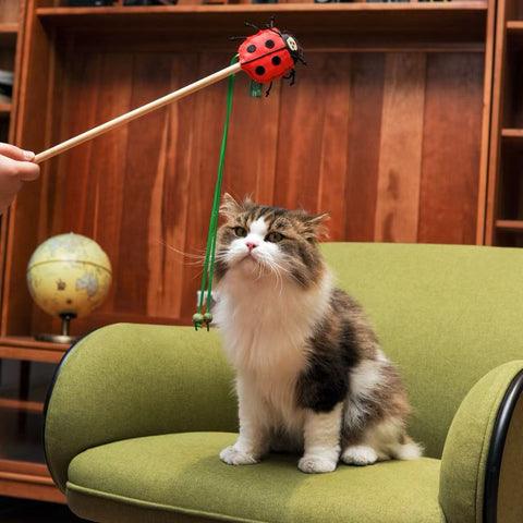 RPET Cat Wands