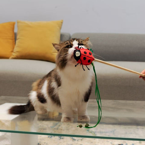 RPET Cat Wands
