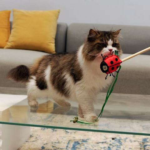 RPET Cat Wands