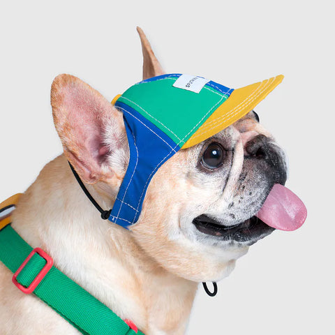 10TH YEAR - Pet Baseball Cap