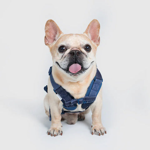 Universal Overall x Sputnik - Harness