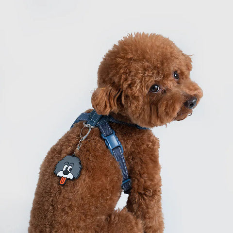 Universal Overall x Sputnik - Harness