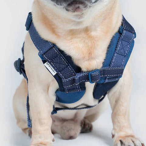 Universal Overall x Sputnik - Harness
