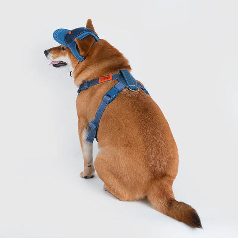 Universal Overall x Sputnik - Harness