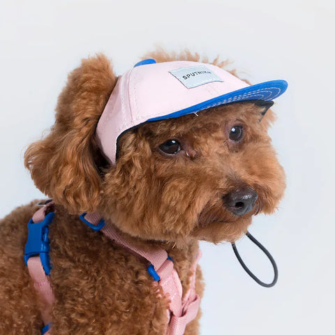 10TH YEAR - Pet Baseball Cap