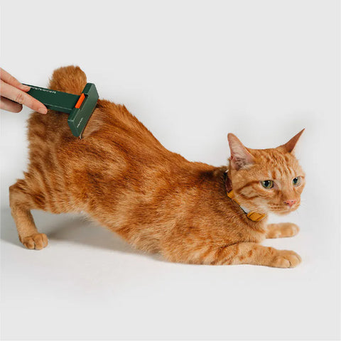 Pet Comb