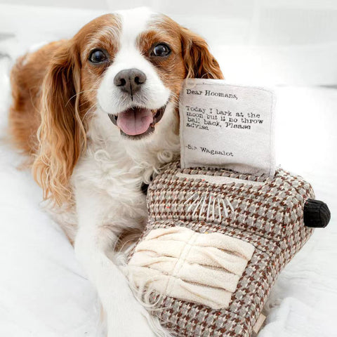 TYPEWRITER - snuffle + squeaky