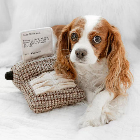 TYPEWRITER - snuffle + squeaky