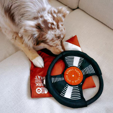 BARK TO THE BEAT