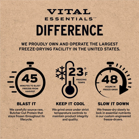 Vital Essentials - Freeze Dried Raw Dog Treats - Salmon Bites