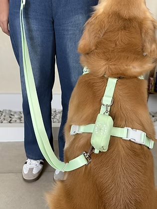 Puffer Walk Set (Leash+Harness+Poop bag holder)