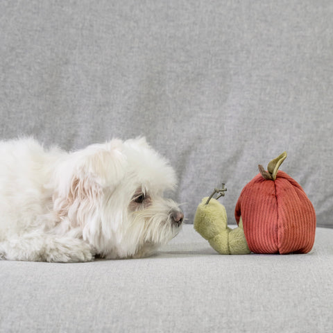 Apple Crinkly + Burrow Dog Toy