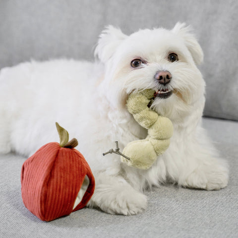 Apple Crinkly + Burrow Dog Toy