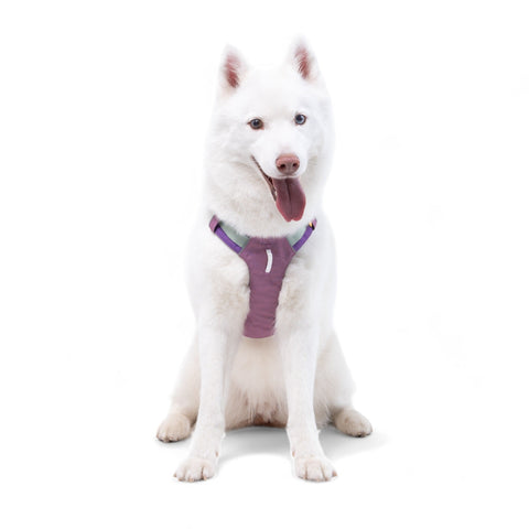 Alpha 360 Harness - Mauve Mix