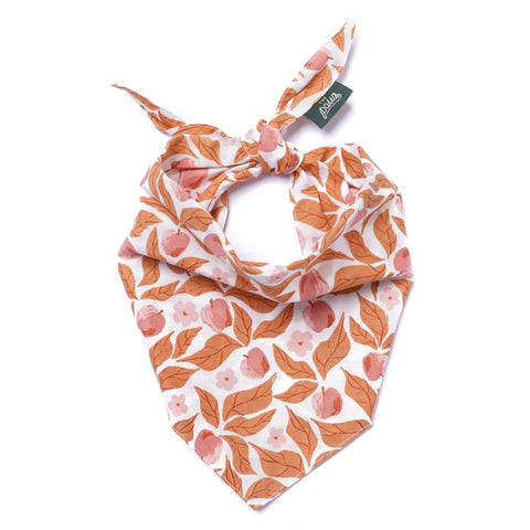 Dog Bandana - Apple Crisp