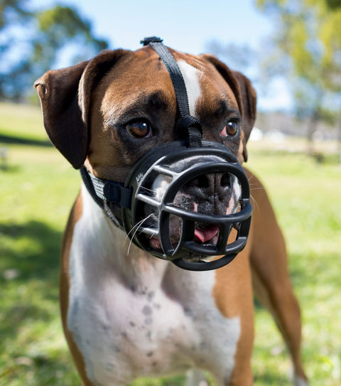 Baskerville Ultra Muzzle