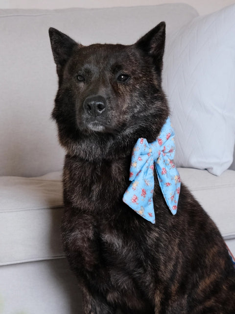 The Wagging Blue Sailor Dog Bow | Spring Collection