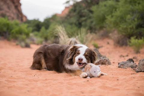 Dog Plush Toy - Big Five of Africa Rhino