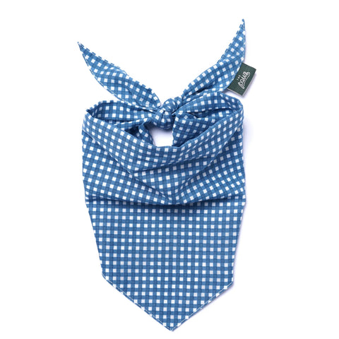 Dog Bandana - Blue Gingham