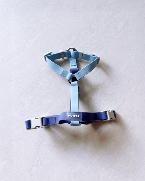 Aqua Glow Harness