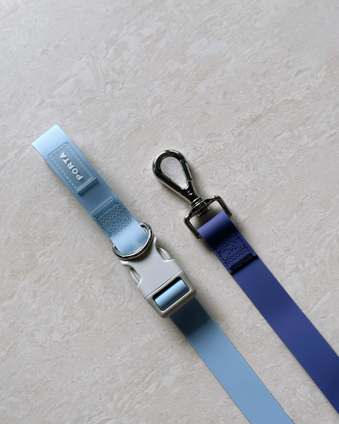 Aqua Leash