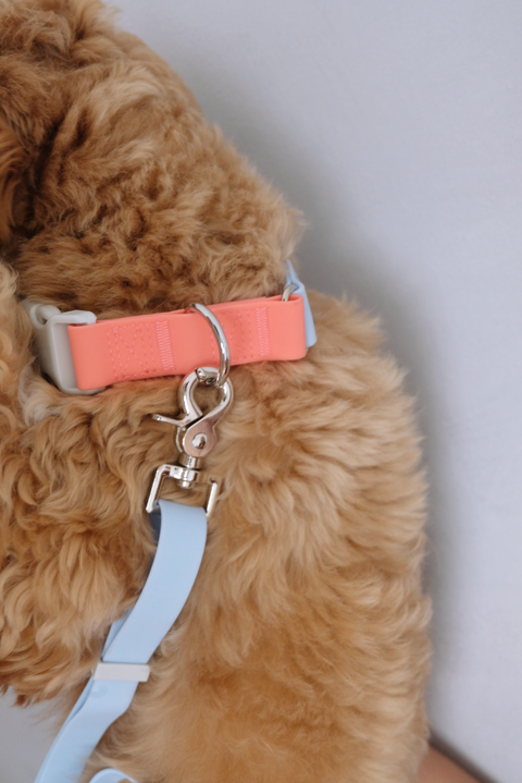 Aqua 2.8m Multiway Leash