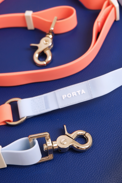 Aqua 2.8m Multiway Leash