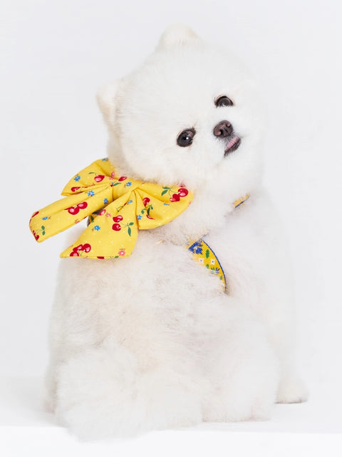 The Wagging Blue Sailor Dog Bow | Classic Collection
