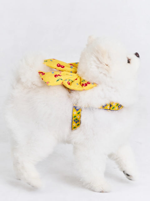 The Wagging Blue Sailor Dog Bow | Classic Collection