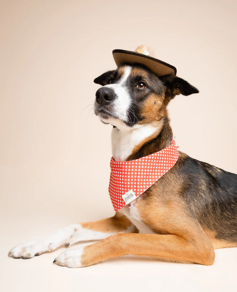 Dog Bandana - Red Gingham