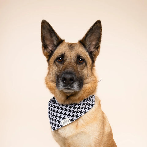 Dog Bandana - Classic Houndstooth
