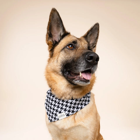 Dog Bandana - Classic Houndstooth