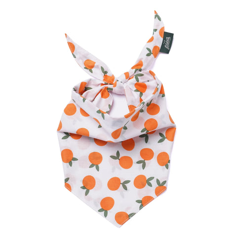 Dog Bandana - CLEMENTINE