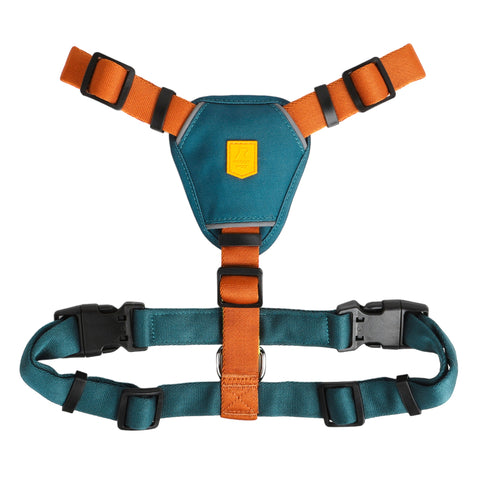 Color Block Harness