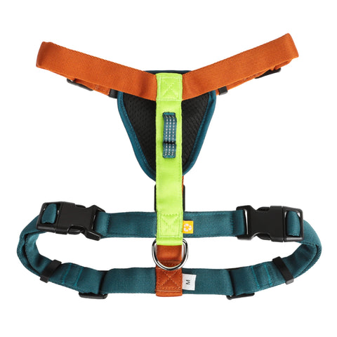 Color Block Harness