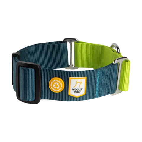 Color Block Martingale Dog Collar Deep Teal Mix